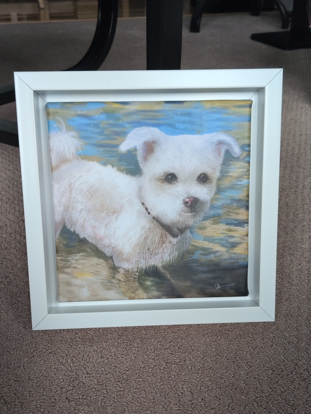 Framed Westie White Terrier Puppy Dog In Water Canvas Wall Art 10x10